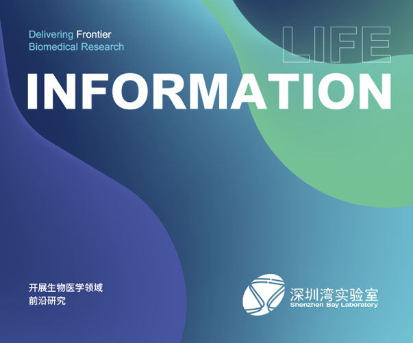 文字標(biāo)志設(shè)計(jì)入門——上海設(shè)計(jì)師用字體塑造品牌力量